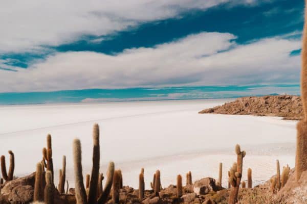 Tours al salar de Uyuni - Full Day en 4x4 - Hotel de Sal Cruz Andina